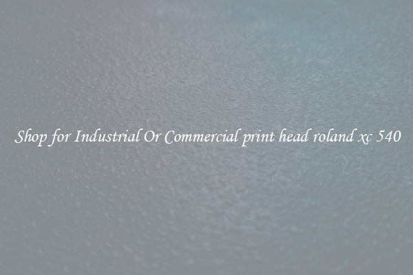 Shop for Industrial Or Commercial print head roland xc 540