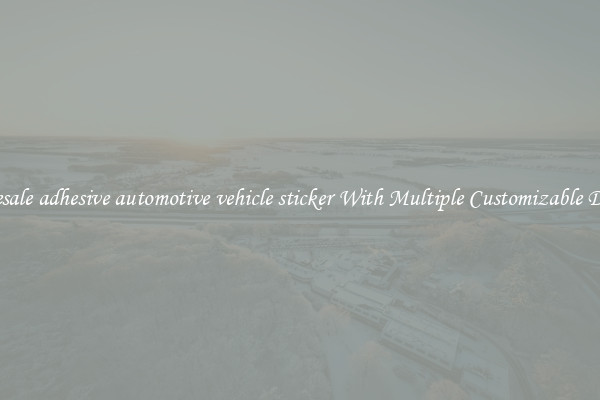 Wholesale adhesive automotive vehicle sticker With Multiple Customizable Designs
