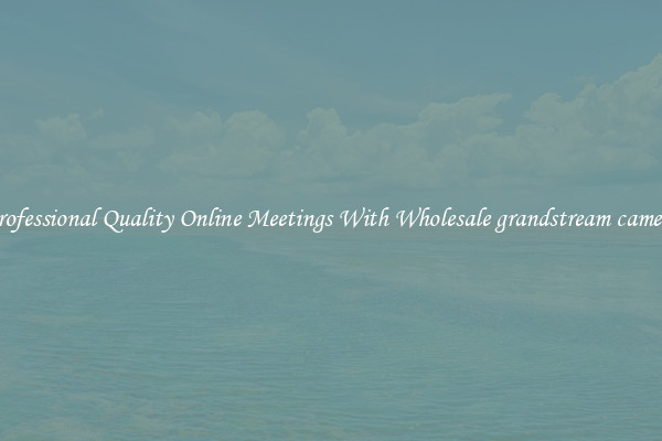 Professional Quality Online Meetings With Wholesale grandstream camera