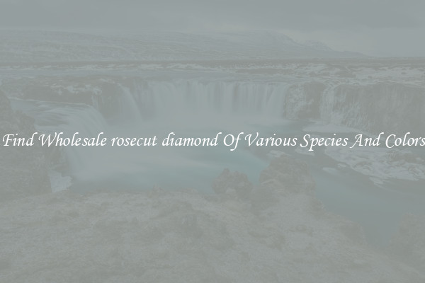 Find Wholesale rosecut diamond Of Various Species And Colors