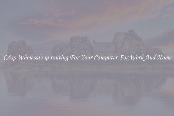 Crisp Wholesale ip routing For Your Computer For Work And Home