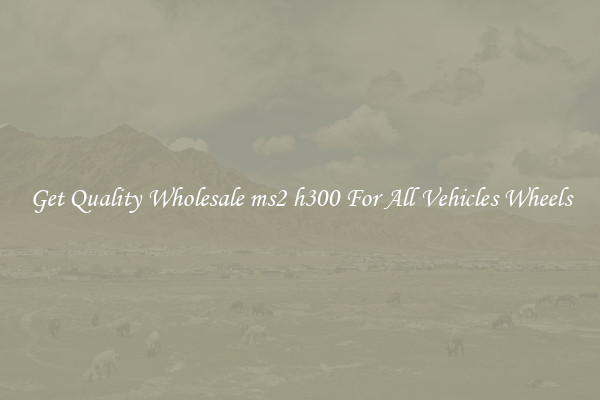 Get Quality Wholesale ms2 h300 For All Vehicles Wheels
