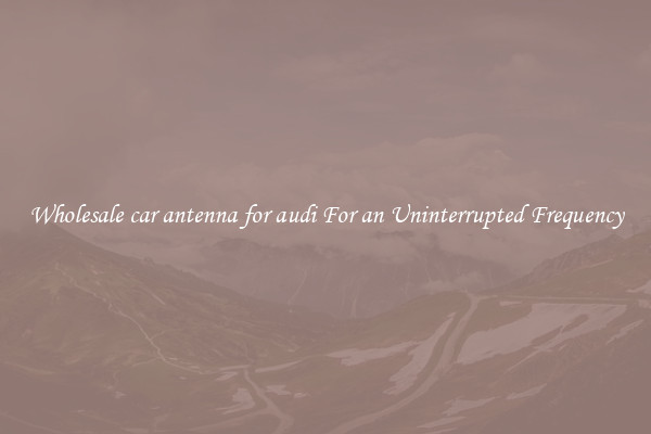 Wholesale car antenna for audi For an Uninterrupted Frequency
