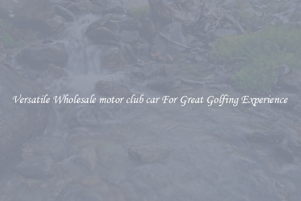 Versatile Wholesale motor club car For Great Golfing Experience 
