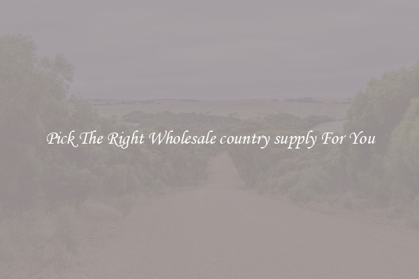Pick The Right Wholesale country supply For You