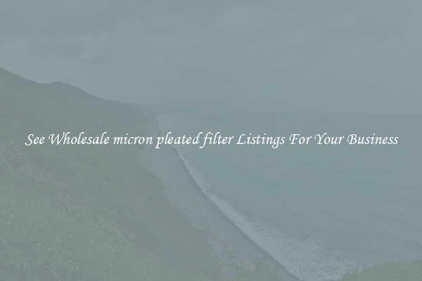 See Wholesale micron pleated filter Listings For Your Business