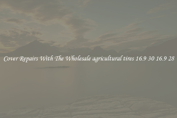 Cover Repairs With The Wholesale agricultural tires 16.9 30 16.9 28 