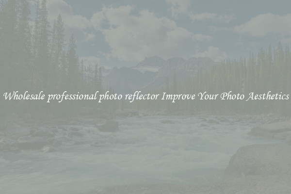 Wholesale professional photo reflector Improve Your Photo Aesthetics