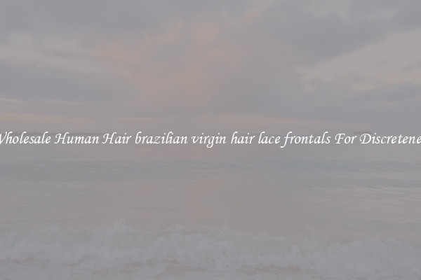 Wholesale Human Hair brazilian virgin hair lace frontals For Discreteness