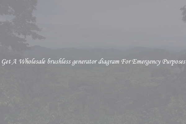 Get A Wholesale brushless generator diagram For Emergency Purposes
