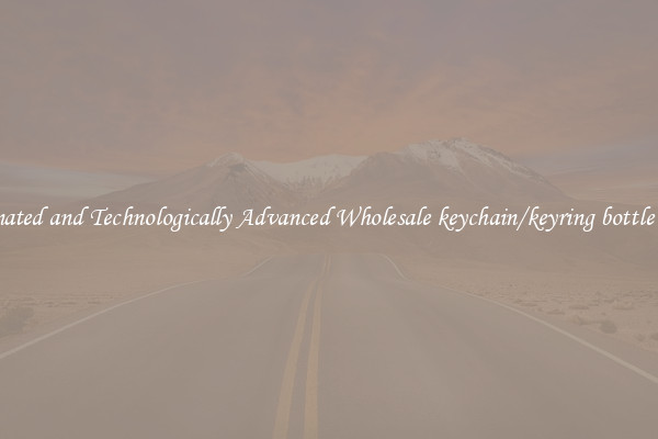 Automated and Technologically Advanced Wholesale keychain/keyring bottle opener