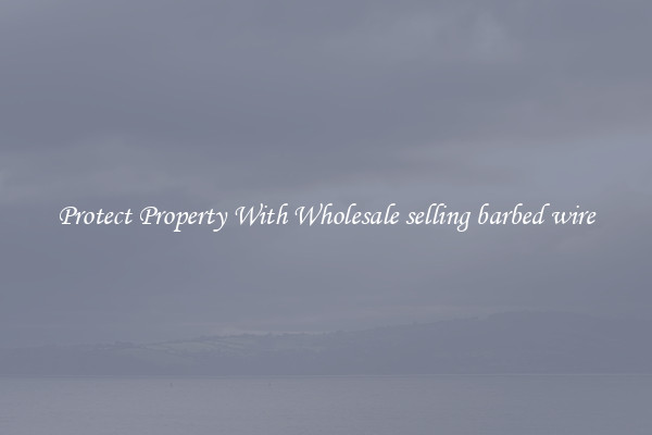 Protect Property With Wholesale selling barbed wire
