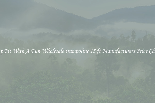 Keep Fit With A Fun Wholesale trampoline 15 ft Manufacturers Price Cheap 