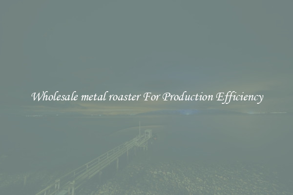 Wholesale metal roaster For Production Efficiency