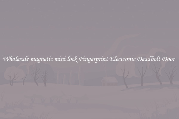 Wholesale magnetic mini lock Fingerprint Electronic Deadbolt Door 