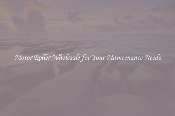 Motor Roller Wholesale for Your Maintenance Needs